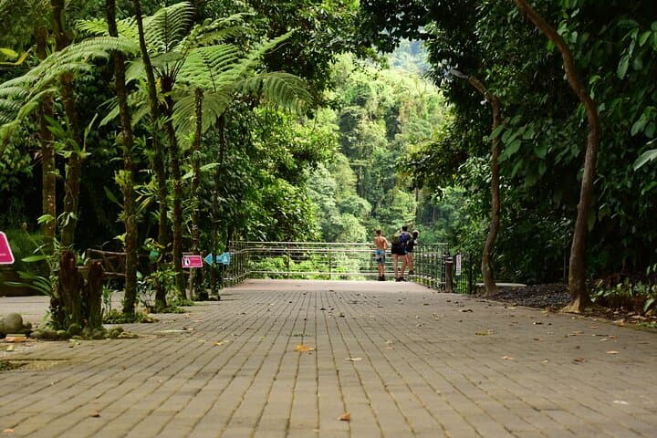La Fortuna Waterfall Hike & Farm-to-Table Lunch — La Fortuna Park Experience photo 2