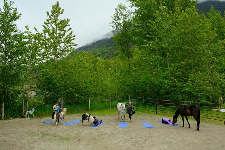 Horse-Assisted Yoga in Skagway — Mindful Trail Flow with Horses photo 2