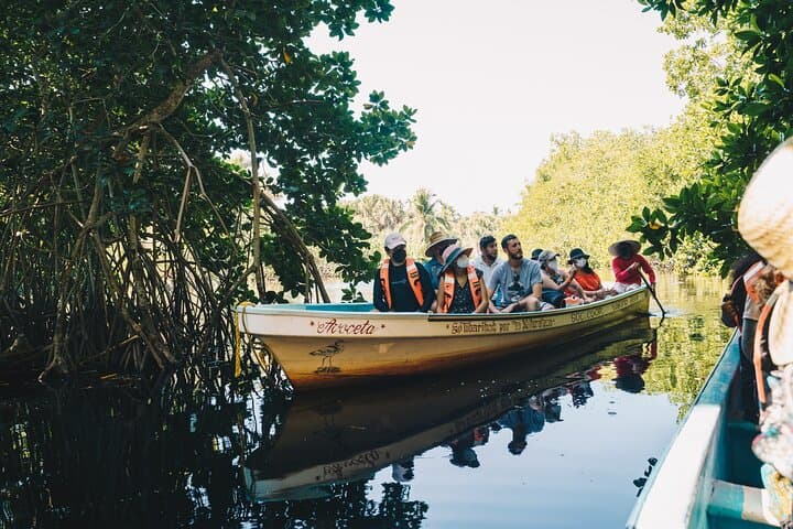 Turtle Release at Escobilla Sanctuary and Crocodile Mangrove Tour in Ventanilla photo 6