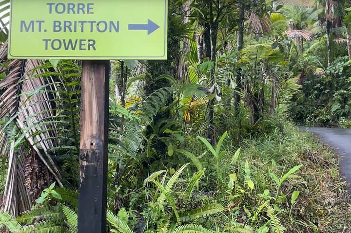 El Yunque Rainforest Hike to Mt. Britton Tower — Guided Day Trip from San Juan photo 2