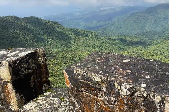 El Yunque Rainforest Hike to Mt. Britton Tower — Guided Day Trip from San Juan photo 5