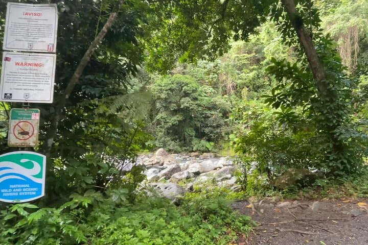 El Yunque Rainforest Hike to Mt. Britton Tower — Guided Day Trip from San Juan photo 6