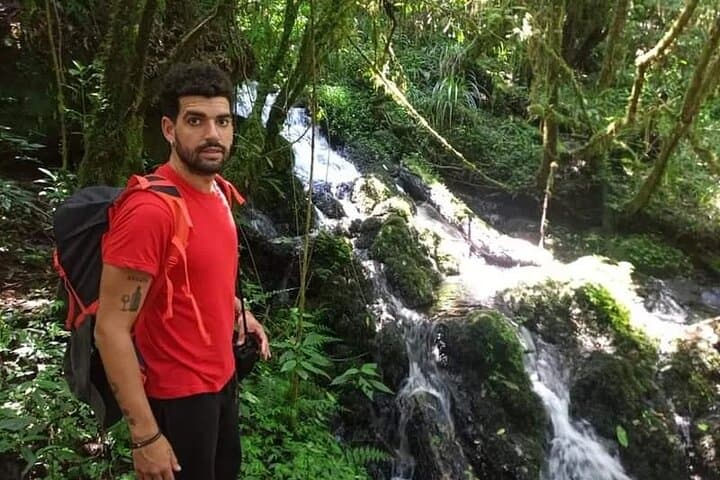 Moshi day trip: Mandara Hut lowland forest trek on Kilimanjaro