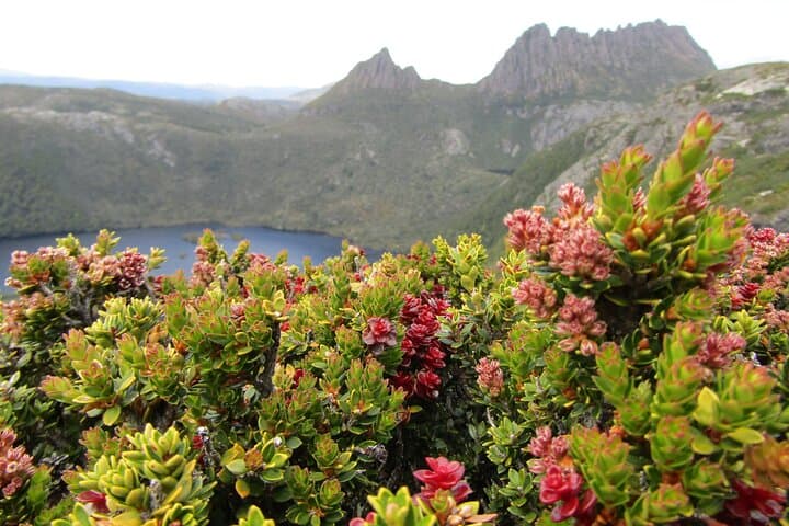 Three-Day Tasmania: Port Arthur, Wineglass Bay & Cradle Mountain photo 2