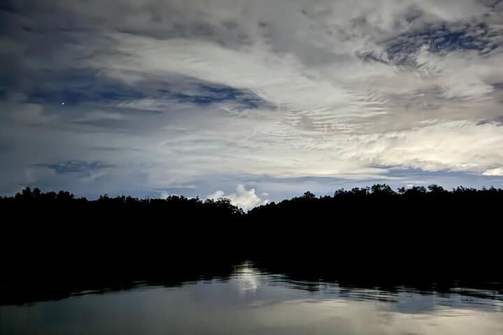 Bako National Park Night Walk: Proboscis Monkeys, Pit Vipers & Coastal Cliffs from Kuching photo 3