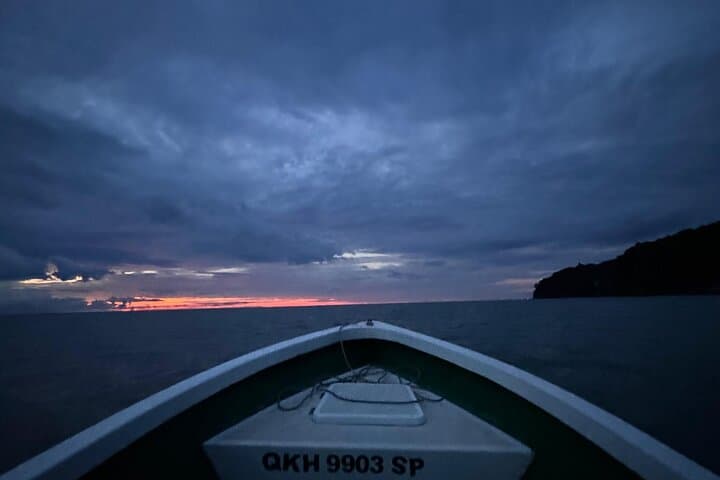 Bako National Park Night Walk: Proboscis Monkeys, Pit Vipers & Coastal Cliffs from Kuching