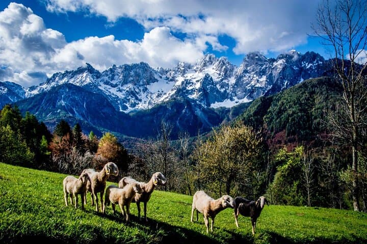 Sunny Side of the Alps: Private Slovenia & Italy Alpine Highlights Tour photo 4