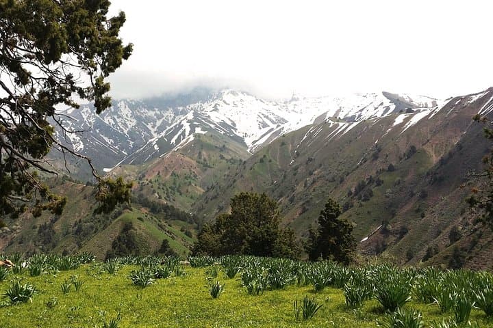 6-Day Chimgan Trek: Summit Great Chimgan & Western Tian Shan Ridge photo 5