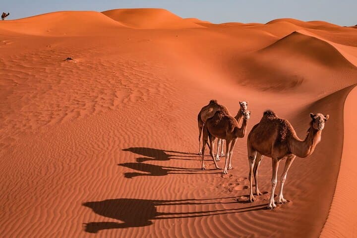 Two-Day Private Wahiba Sands & Wadi Bani Khalid Desert Experience