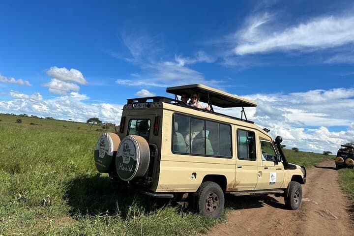 4-Day Tarangire, Serengeti & Ngorongoro Safari — Classic Northern Tanzania Game Drive photo 4