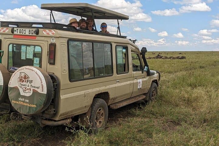4-Day Tarangire, Serengeti & Ngorongoro Safari — Classic Northern Tanzania Game Drive photo 5