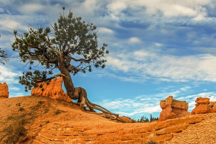 Exploring the Colorado Plateau: A Private Tour from Sedona