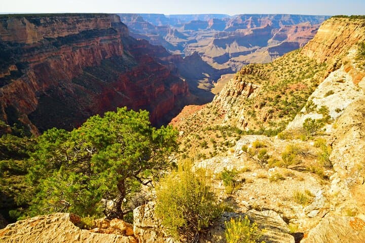 Exploring the Colorado Plateau: A Private Tour from Sedona photo 6