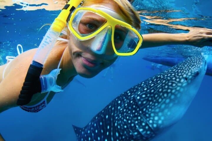 Kwale Island Snorkeling in Menai Bay: Shared Dhow Trip with Seafood Lunch photo 1