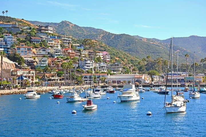 Private Avalon Tour from Catalina Island — Half-Day Guided Highlights