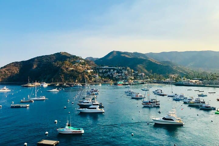 Private Avalon Tour from Catalina Island — Half-Day Guided Highlights photo 5