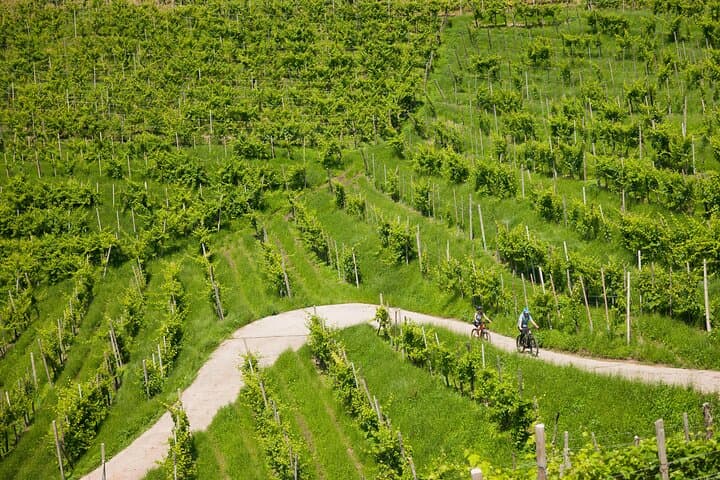 E-bike Tour in Valdobbiadene: Ride the UNESCO Prosecco Hills photo 2