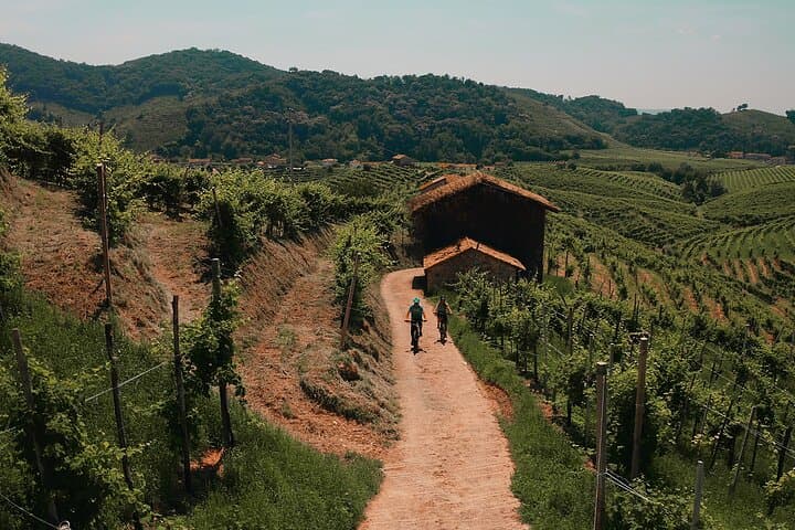 E-bike Tour in Valdobbiadene: Ride the UNESCO Prosecco Hills photo 6