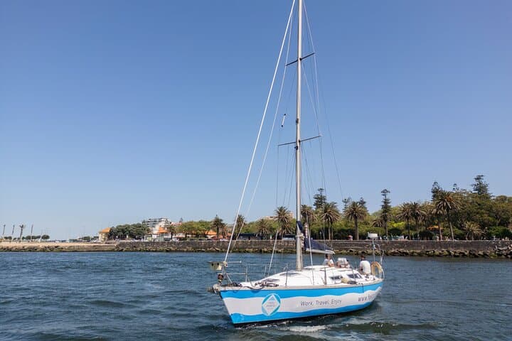 Sunset Cruise on the Douro River — 2-Hour Sail & Porto Skyline Views photo 6