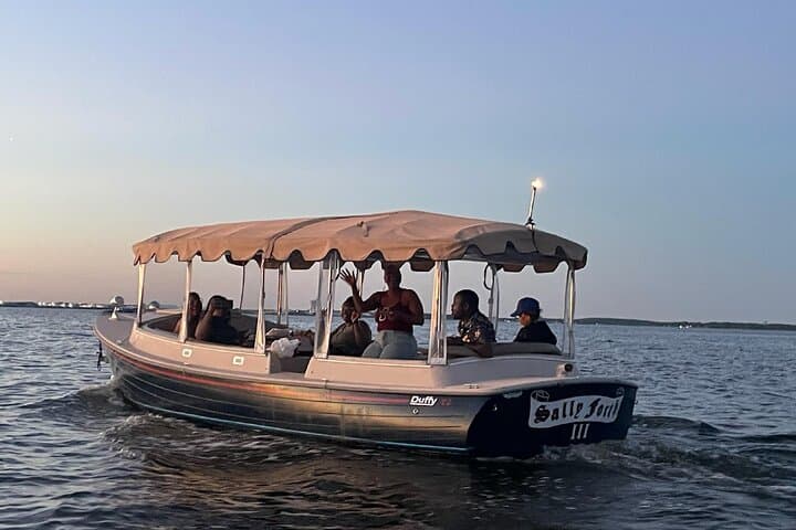 Electric Boat Rental on Nabbs Creek — 1.5-Hour Patapsco River Cruise photo 3