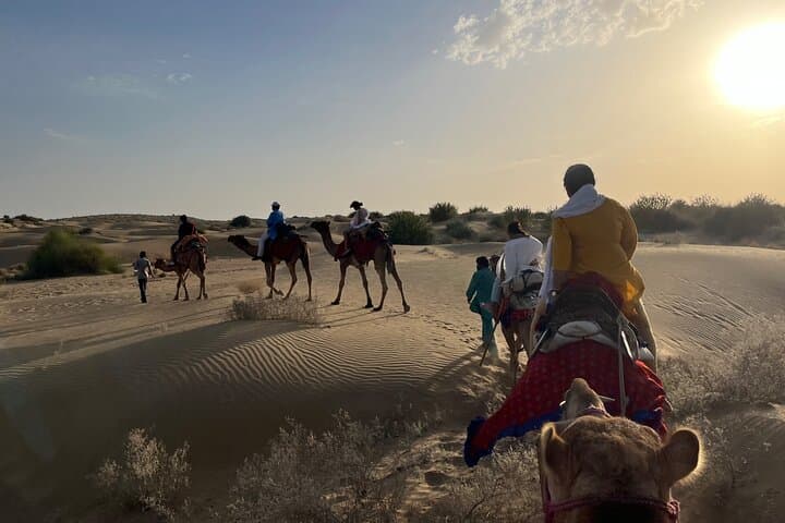 Off-the-Beaten-Track Overnight Camel Safari in the Thar Desert photo 3