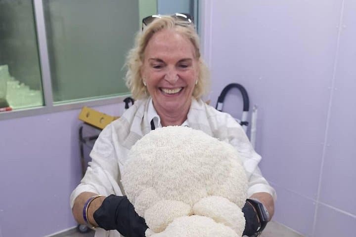 Inside an On Nut Mushroom Farm: Hands-On Cultivation and Harvest Workshop in Bangkok photo 5