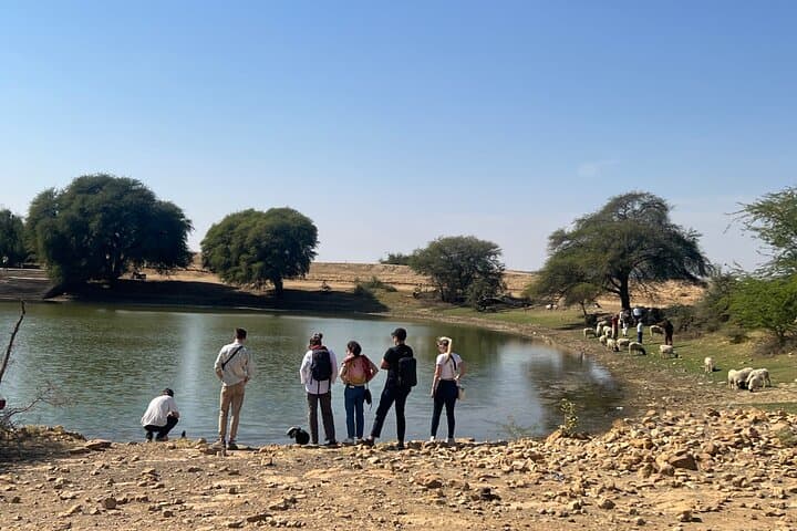 Off-the-Beaten-Track Overnight Camel Safari in the Thar Desert photo 4