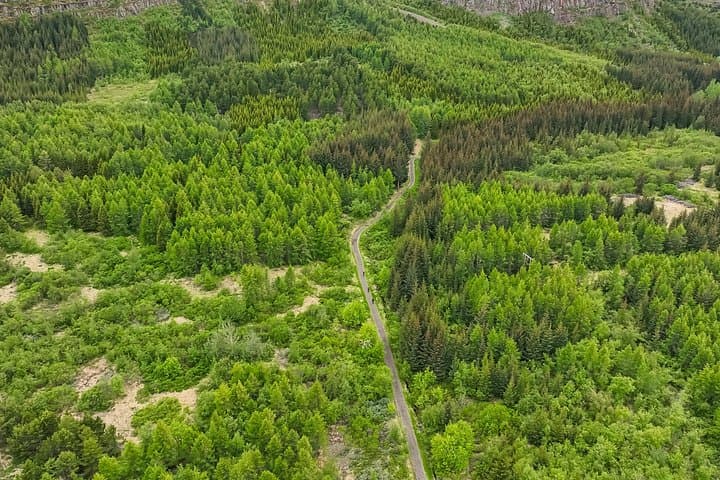 Forest Lagoon E‑Bike Tour Akureyri: Ride Kjarnaskógur & Historic Old Town photo 2