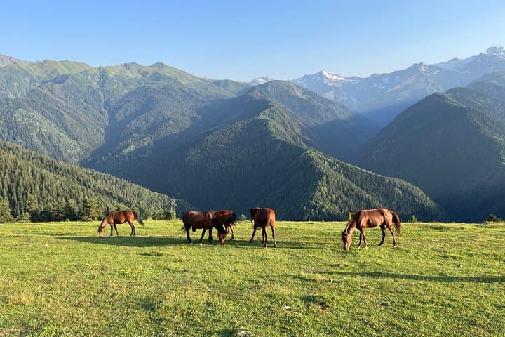 Svaneti in Four Days: Mestia, Ushguli & Shkhara Glacier Private Tour photo 2