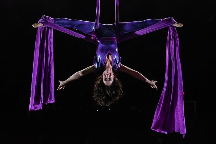 Hamners' Unbelievable Variety Show: Branson's High‑Energy Illusion & Variety Experience photo 4