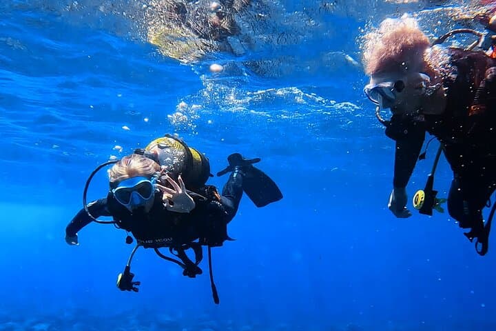 Try Scuba in Tenerife: Guided Introductory Dives on Volcanic Reefs