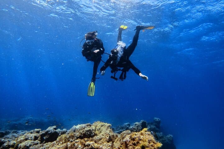 Try Scuba in Tenerife: Guided Introductory Dives on Volcanic Reefs photo 2