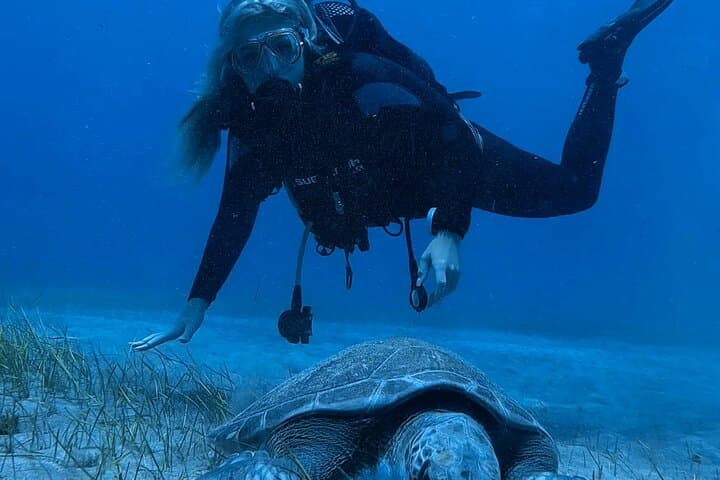 Try Scuba in Tenerife: Guided Introductory Dives on Volcanic Reefs photo 3