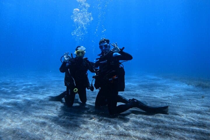 Try Scuba in Tenerife: Guided Introductory Dives on Volcanic Reefs photo 5