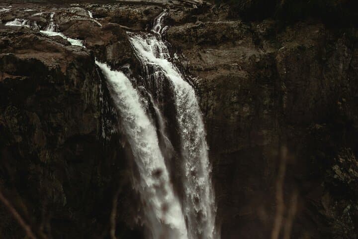 Morning Tour to Snoqualmie Falls and an Ancient Forest (Transport Included) photo 3