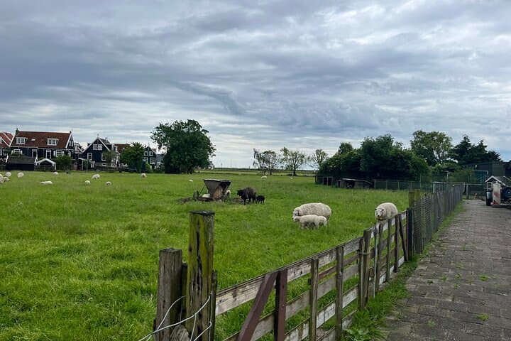 Half-Day Private Tour from Amsterdam to Edam, Volendam & Marken photo 3