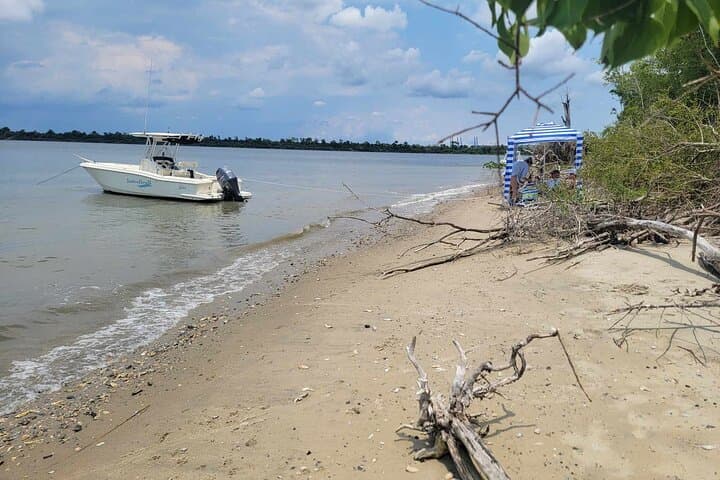 Private Afternoon Boat Ride and Morris Island Beach Excursion — Charleston Harbor photo 6