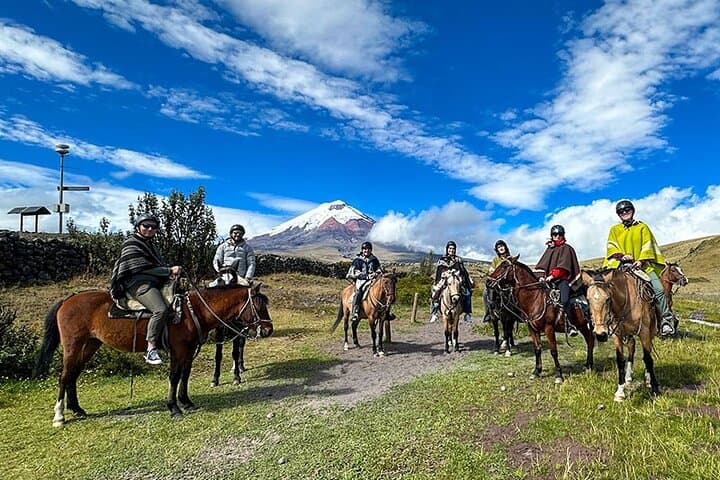 Horseback Riding in Cotopaxi National Park: Full-Day Andes Adventure from Quito