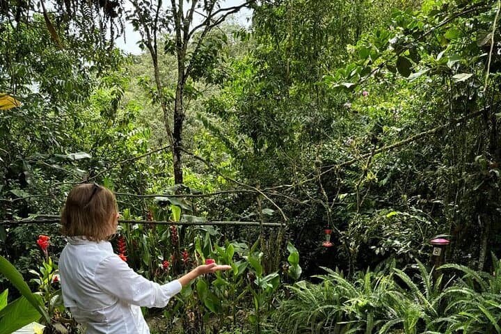 Mindo Cloud Forest Private Tour & Yumbos Chocolate Factory — Birdwatching from Quito