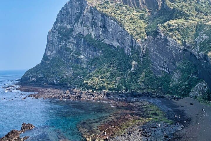 Eastern Jeju Private Tour with Tangerine Picking and Seongsan Sunrise Peak photo 4