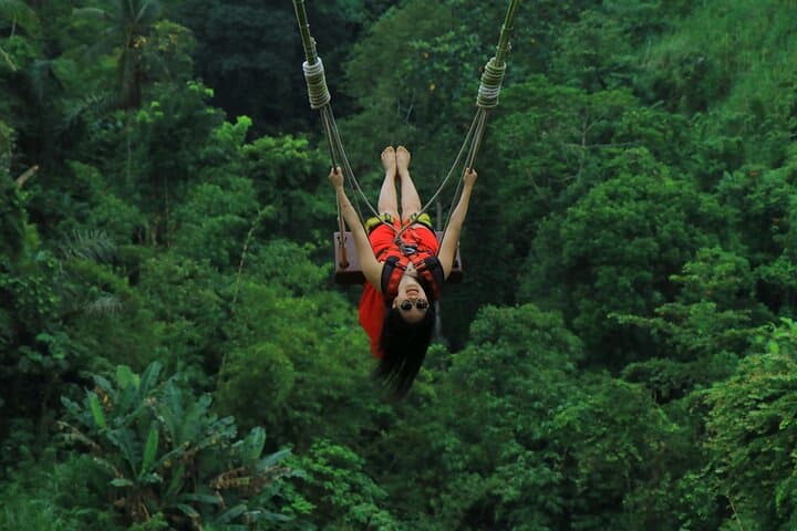 Ubud Day Tour: Monkey Forest, Tegalalang Rice Terraces & Jungle Swing photo 3