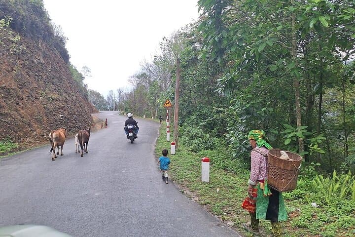 Ha Giang Loop 5-Day Car Journey: Dong Van Plateau, Ma Pi Leng & Lung Cu photo 3