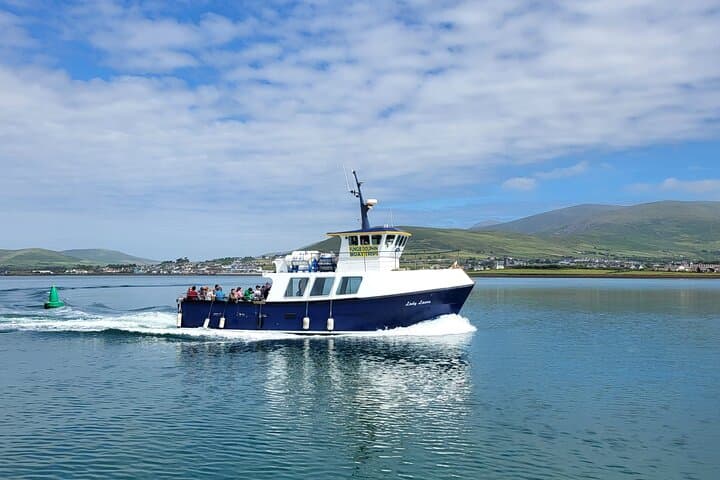 Dingle Bay Dolphin Discovery: 2‑Hour Eco Tour in Ireland's Marine National Park photo 6