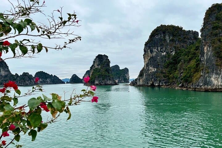Explore Ninh Binh and Bai Tu Long Bay: 2-Day Tour from Hanoi photo 2
