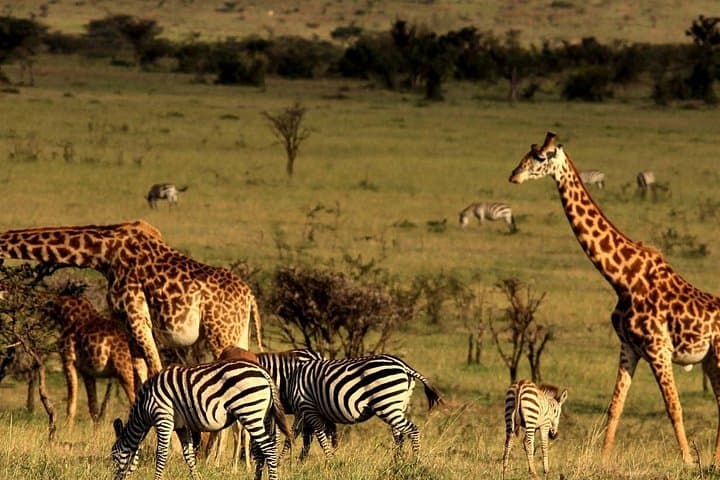 Durban to Cape Town 7-Day Garden Route & Drakensberg Adventure photo 4
