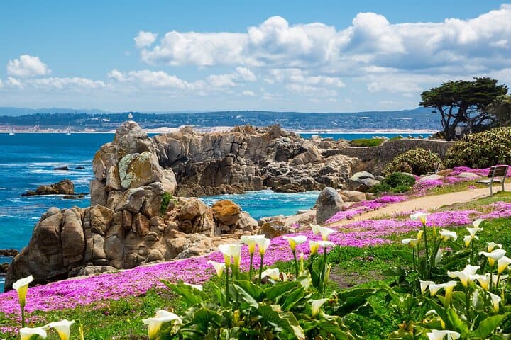 Private Big Sur & McWay Falls Tour from Monterey and Carmel