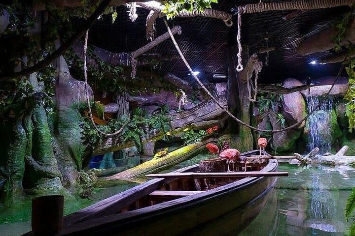 National Aquarium Abu Dhabi: Explore the 46,000-Animal Underwater World photo 5