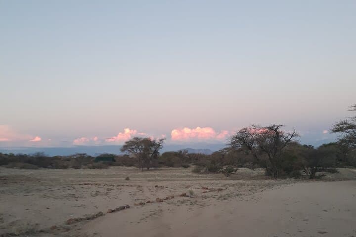 Spitzkoppe Day Tour from Walvis Bay — Climb Namibia's Matterhorn photo 5