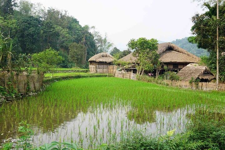 3-Day Ha Giang Motorcycle Loop: Dong Van Plateau & Ma Pi Leng Pass