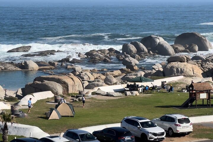 Cape of Good Hope & Boulders Beach Private Day Tour from Cape Town photo 4